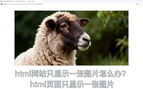 html网站只显示一张图片怎么办？html页面只显示一张图片