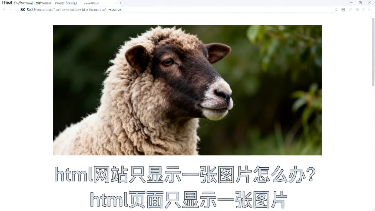 html网站只显示一张图片怎么办?html页面只显示一张图片 html网站只显示一张图片怎么办?html页面只显示一张图片