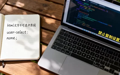 html文字为什么不可选中，如何禁止网页文字被复制