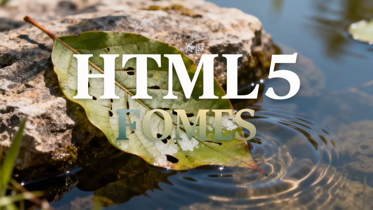 html5的字体样式 html5的字体样式