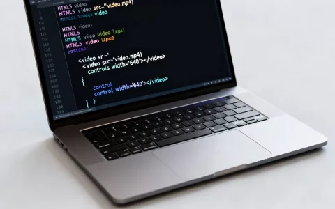 HTML5视频标签怎么用？html5视频标签代码示例