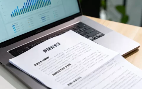 中国数据信息安全如何保障？数据安全法具体规定