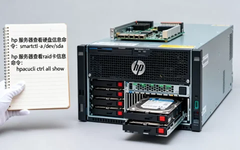 hp服务器如何查看硬盘信息命令？hp服务器raid卡信息查看命令