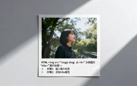 html图片加标题怎么操作？html图片加标题代码