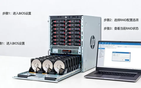 如何查看hp服务器raid设置？hp服务器raid配置教程