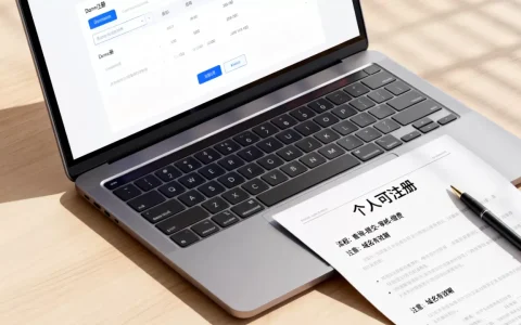 个人可以域名注册吗，域名注册流程及注意事项