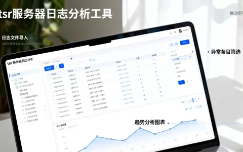 tsr服务器日志分析工具怎么用？tsr服务器日志分析工具有哪些