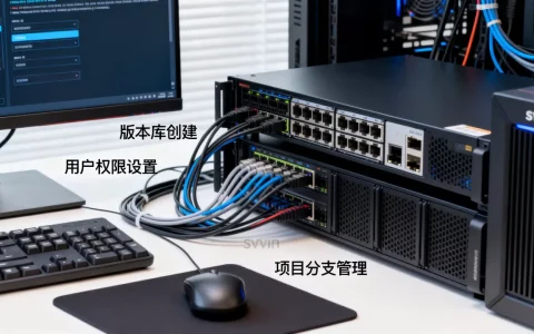 svn服务器项目版本管理怎么配置？svn服务器搭建教程