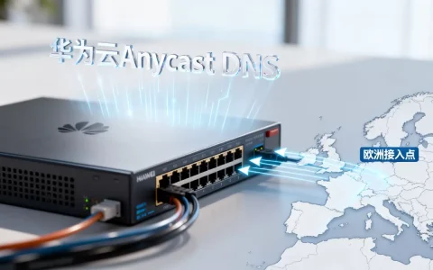 华为云Anycast DNS如何加速欧洲访问？华为云中国站使用欧洲接入点加速