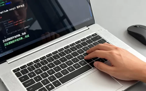 aptitude指令怎么用？aptitude安装软件命令详解