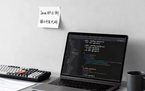 Java语言API示例如何使用？Java接口开发常用代码
