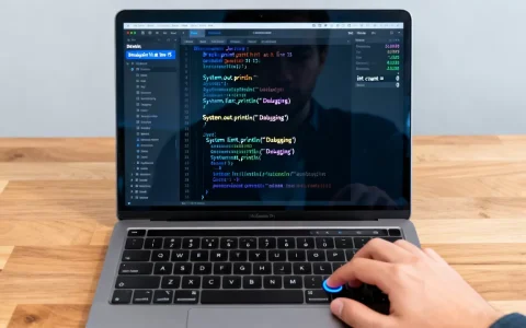 Java调试总报错怎么办？Java调试技巧与常见问题