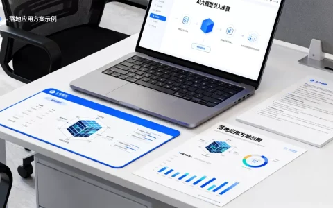 如何引入AI大模型？大模型落地应用有哪些常见方案