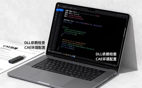 ASP.NET Core调用DLL出错怎么办？如何部署到CAE