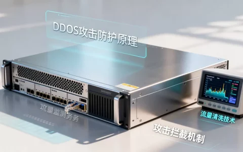 ddos防护高防服务器怎么防？ddos攻击防护原理是什么