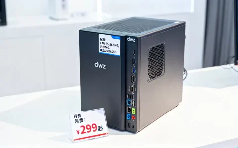 dwz主机适合做网站吗？dwz主机租用费用及配置详解