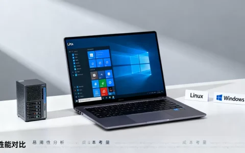 个人云服务器操作系统怎么选，Linux和Windows哪个更适合