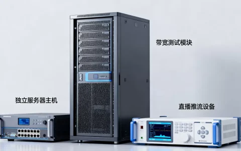 100M独享带宽独立服务器能跑直播吗，100M带宽直播延迟高吗