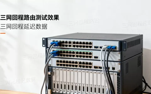 香港独立服务器三网回程路由测试效果如何？香港服务器三网回程延迟多少