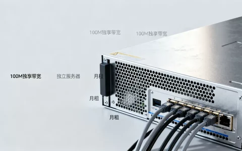100M独享带宽独立服务器月租多少？租用服务器多少钱一个月