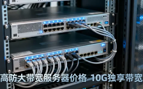 10G独享带宽服务器月租多少？国内高防大带宽服务器价格