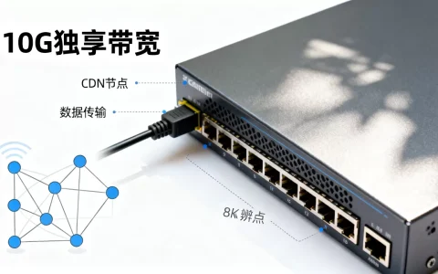 10G独享带宽服务器做CDN效果如何？10G独享带宽服务器做CDN方案