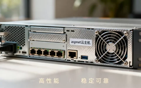 aspnet云主机是什么？aspnet云主机哪个牌子好