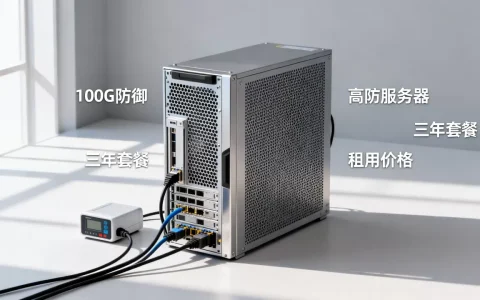 为何选择100G防御高防服务器三年套餐？高防服务器租用价格是多少