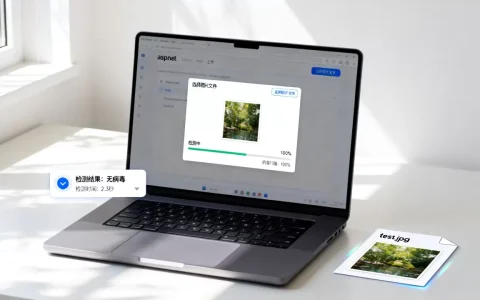 asp.net网站上传前如何判断图片病毒？怎么检测图片是否带毒