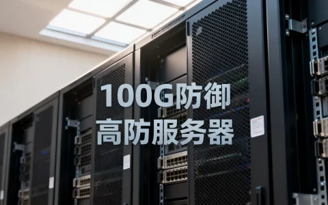 100G防御高防服务器月租多少才合理？高防服务器租用价格是多少