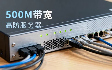 500M带宽高防服务器够用吗？高防服务器带宽如何选择