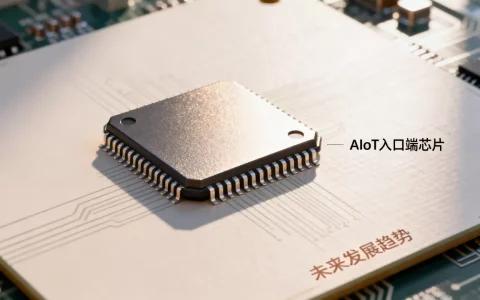 AIoT入口端芯片前景如何？未来发展趋势详解