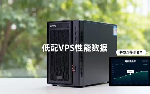1美元VPS能跑多少并发连接？低配VPS适合做什么