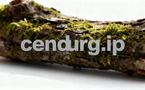 cdn-src-ip