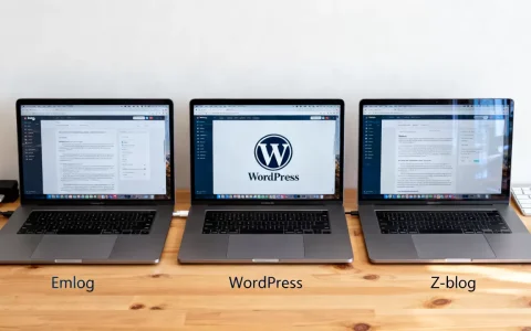 Emlog、WordPress和Z-blog哪个更好？三大博客程序对比评测