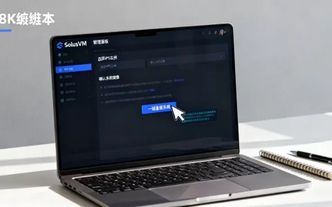 SolusVM管理面板怎么用？VPS一键重装系统教程