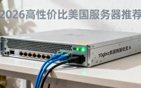 10gbiz美国独服低至$36.6靠谱吗？2026年高性价比美国服务器推荐