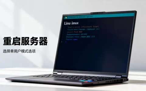 Linux系统服务器进入单用户模式的方法