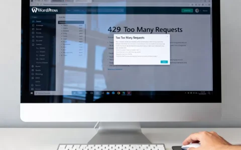 WordPress提示429错误怎么解决？WordPress 429 Too Many Requests错误解决方法