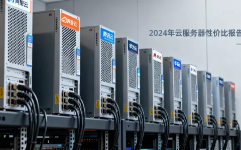 哪家中国云计算公司VPS最好用？国内云服务器哪家性价比高