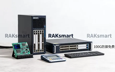 RAKsmart无视CC攻击是真的吗，100G防御免费测试