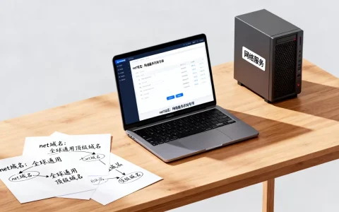 net域名代表什么含义？.net域名是什么意思