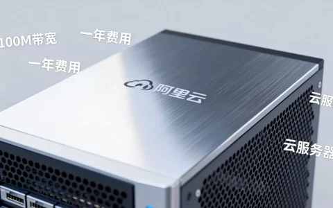 100M带宽云服务器一年大概多少钱？租用阿里云服务器费用详解