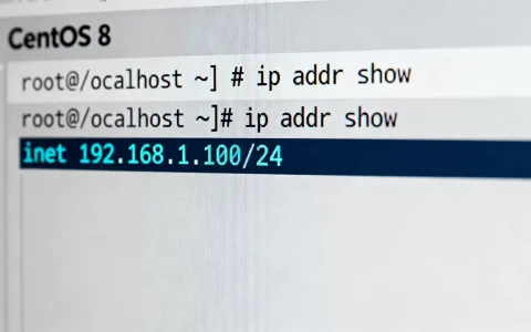 CentOS 8如何查看私有IP？Linux系统查IP地址命令