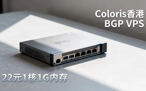 Coloris香港BGP VPS值得买吗？22元1核1G内存VPS推荐