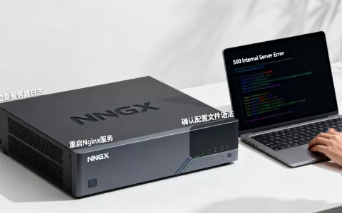 Nginx服务器为何出现500错误？500内部服务器错误怎么解决
