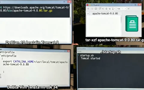 Debian 10 Linux如何安装Tomcat 9？Tomcat 9安装教程