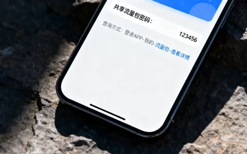 共享流量包密码是多少？如何查询共享流量包密码