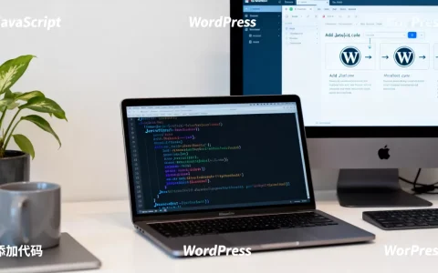 什么是JavaScript？WordPress网站如何添加JavaScript
