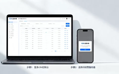 iON云服务器怎么续费？iON云服务器续费教程